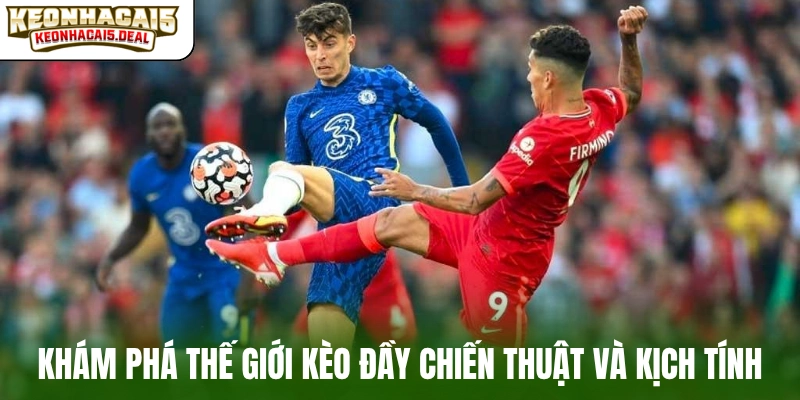 Khám phá thế giới kèo đầy chiến thuật và kịch tính