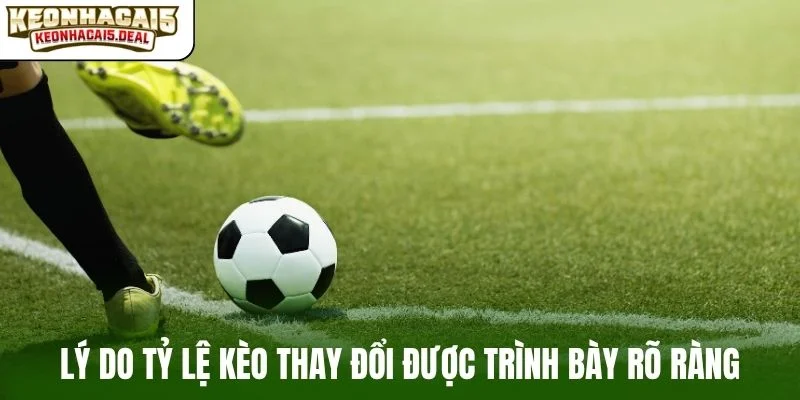 Lý do tỷ lệ kèo thay đổi được trình bày rõ ràng